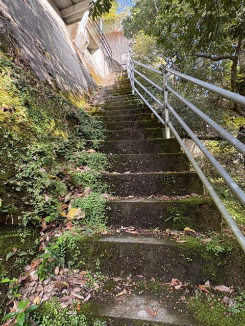 鉄橋の瀬　階段